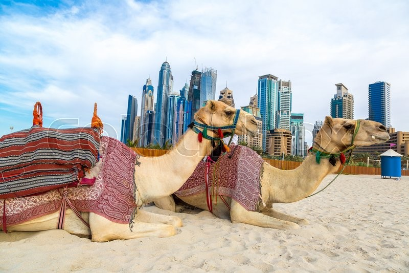 10 Things to do in Dubai