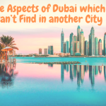 Unique Aspects of Dubai