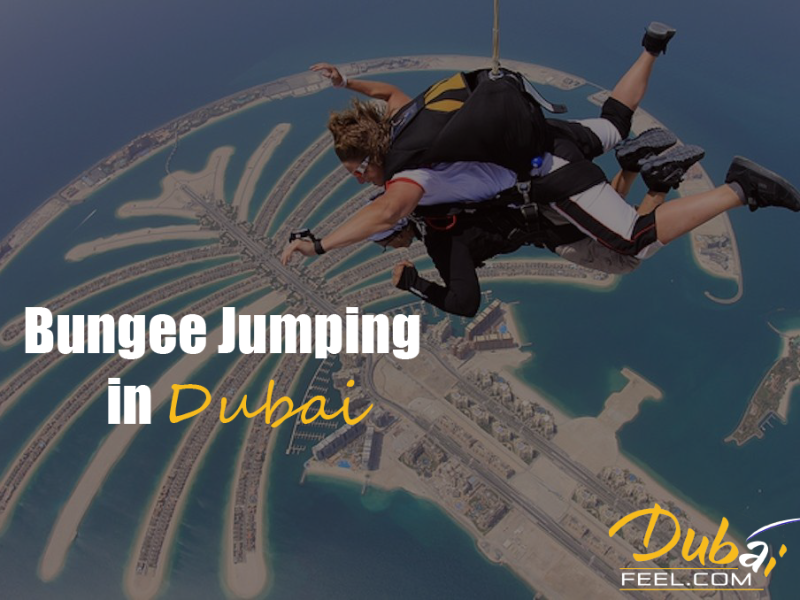 Bungee Jumping - Dubai Feel