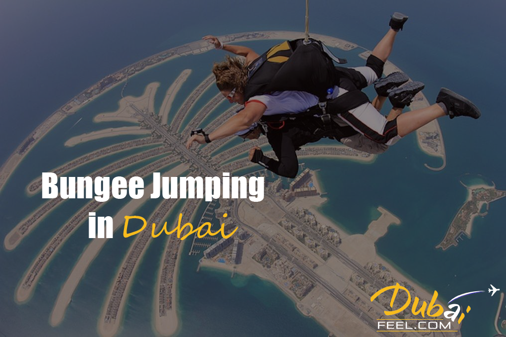 Bungee Jumping - Dubai Feel