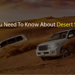 Desert Safari in Dubai - Dubai Feel