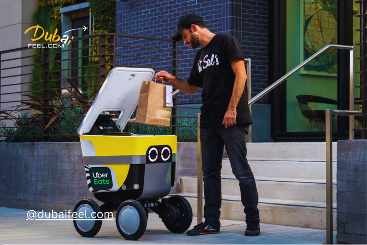 Robotic Food Delivery 