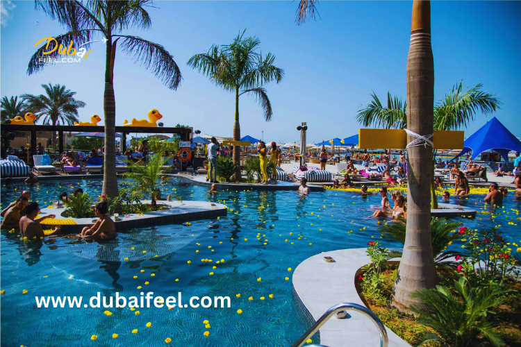 Pool Points in Dubai"