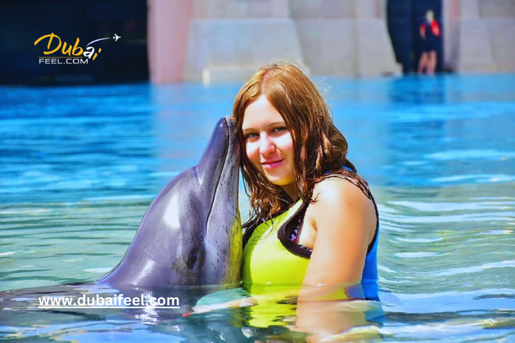 The Dolphin Bay Dubai"