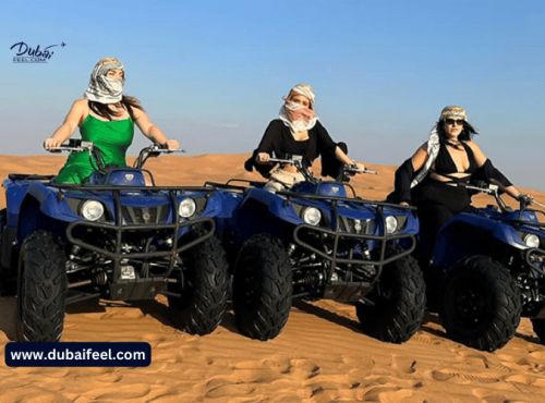 Dubai Desert Adventures 2024