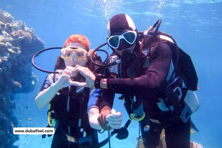 Dive into an Urban Underwater Wonderland: Scuba Diving in Dubai Mall Aquarium