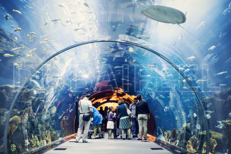 Dubai Mall and Aquarium