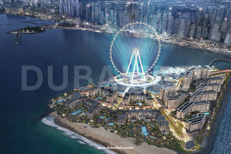 Budget-Friendly Finds in Dubai for 2024: Disappointments: dubaifeel