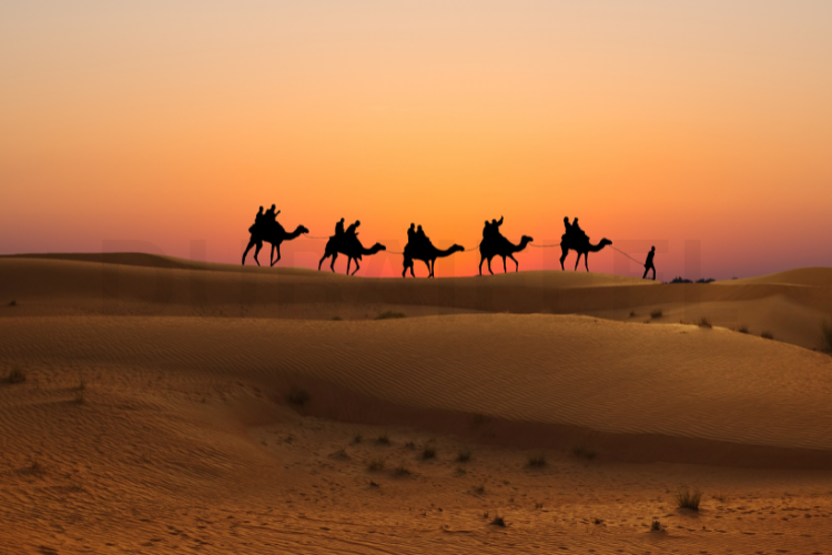 11 Ways to Have the Ultimate Dubai Desert Safari Adventure : @dubaifeel