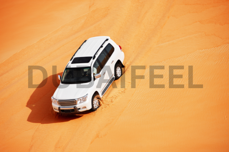 11 Ways to Have the Ultimate Dubai Desert Safari Adventure : @dubaifeel