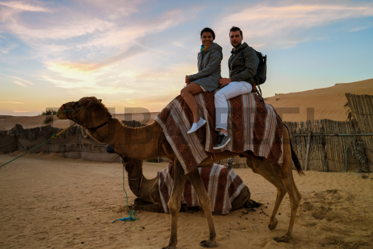 11 Ways to Have the Ultimate Dubai Desert Safari Adventure : @dubaifeel