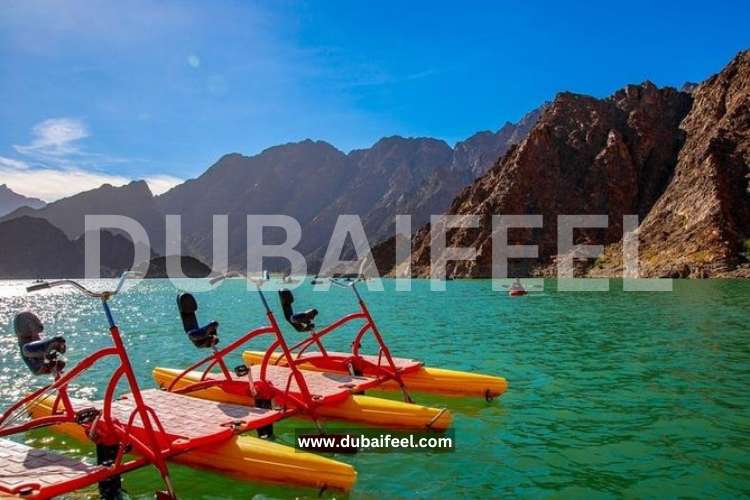 8 Hidden Gems in Dubai Recommended by Locals @dubaifeel