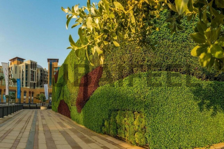 Carbon Footprint and Sustainability in Dubai