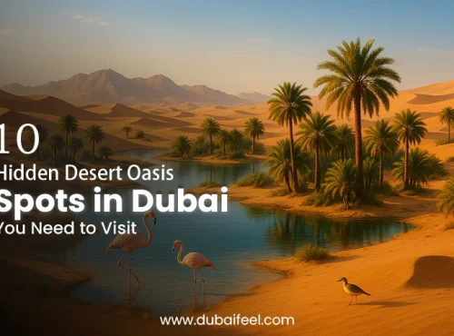 Desert Oasis Spots in Dubai