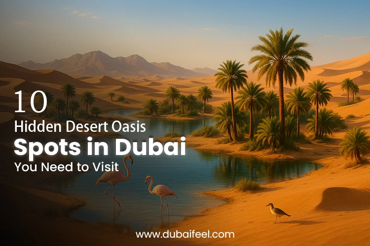 Desert Oasis Spots in Dubai