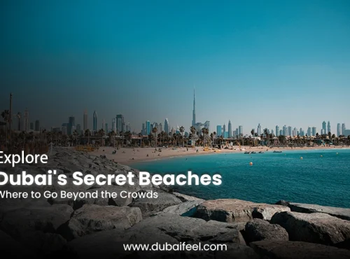 Explore Dubai's Secret Beaches
