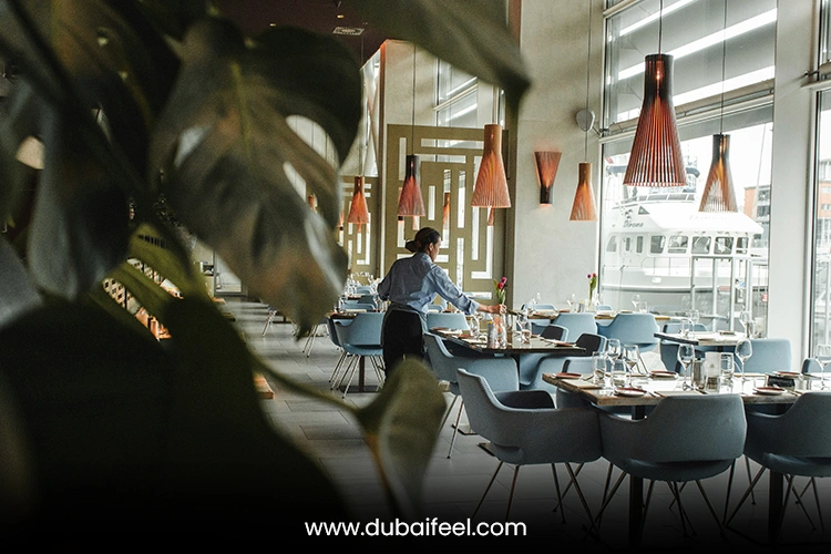 Fine Dining on a Budget