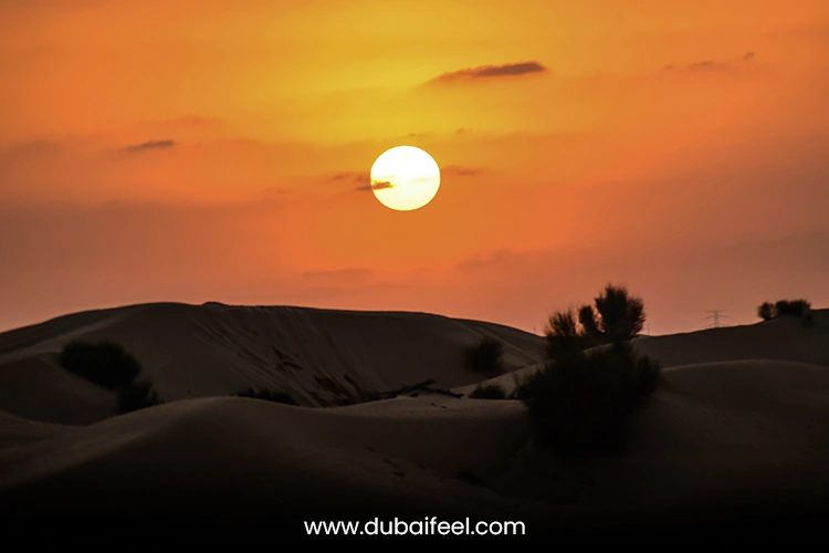 Sunrise in the Dunes