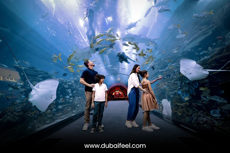 Dubai Aquarium