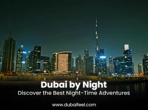 Dubai by Night