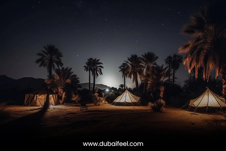 Dubai Moonlit Desert Escapes