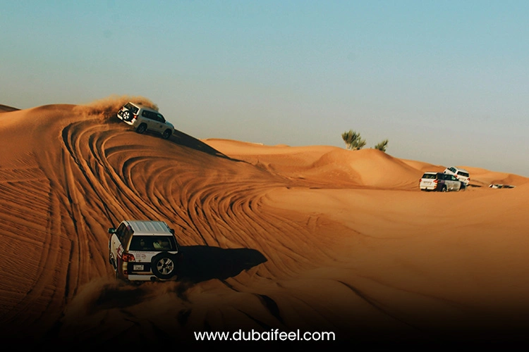 Off-Road Extremes in the Arabian Sands