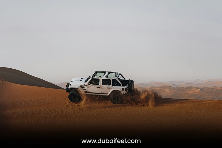 Desert Safari Adventures